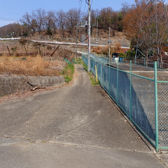 ここを上がりました