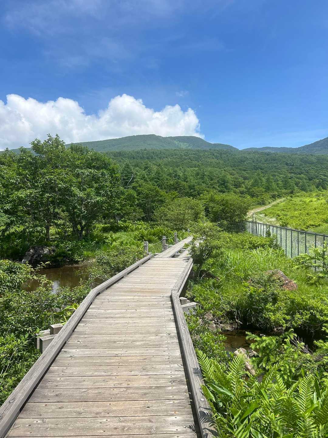 素晴らしい景色👍
