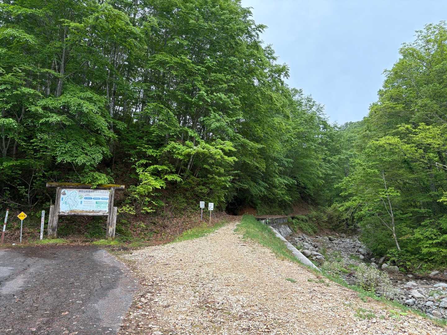 古寺鉱泉登山口からスタート▶️