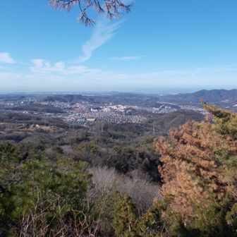 展望絶佳と書いている地図もあったがどうなんかな。