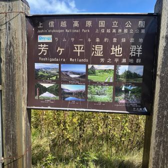 ここまで来たらついでにとおもうが、芳ケ平ハイキング入り口