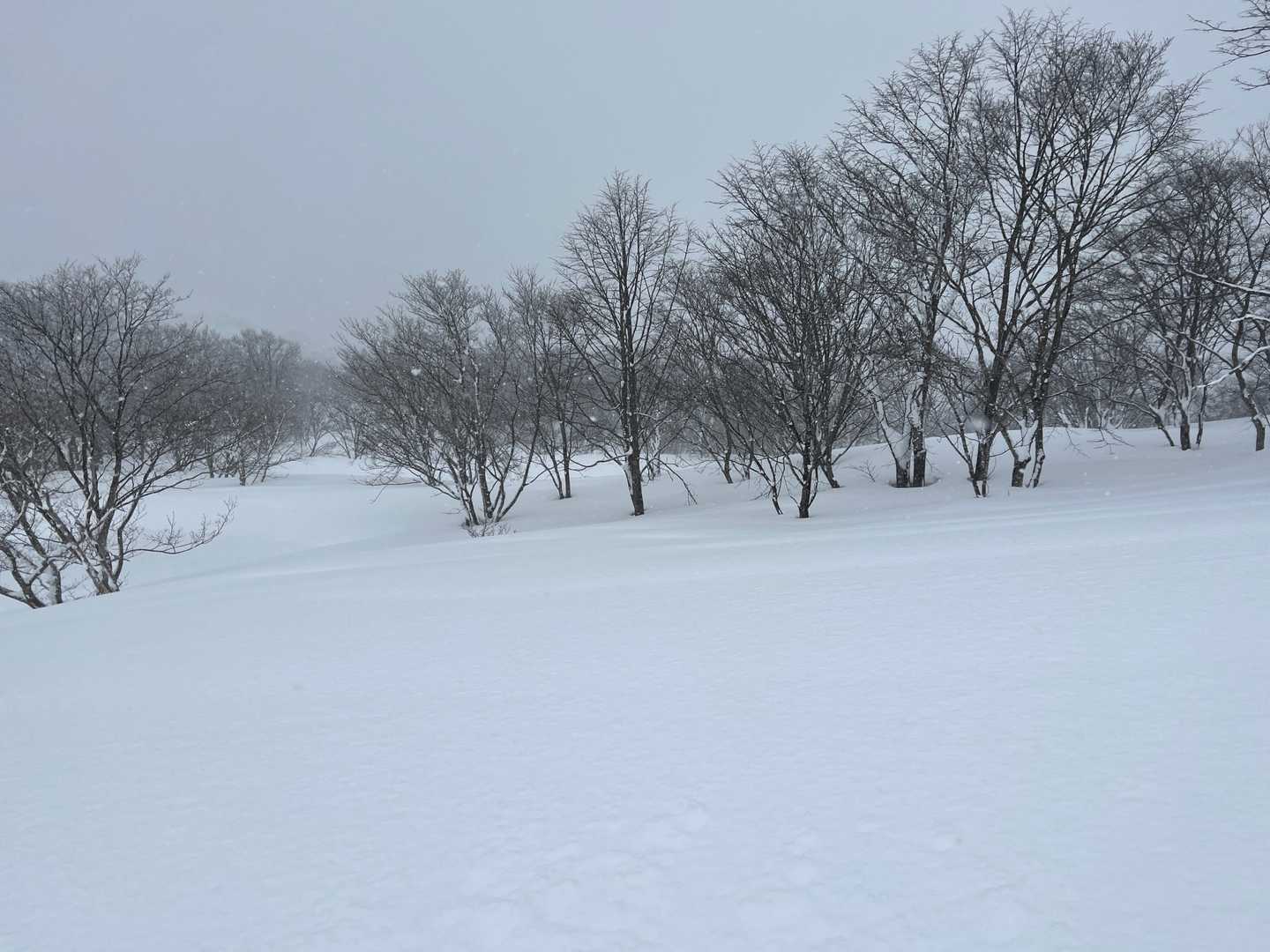 視界も良くなってきた✨