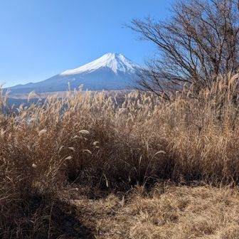 長池山からの富士山🗻
きれいに雲が取れました😊👌