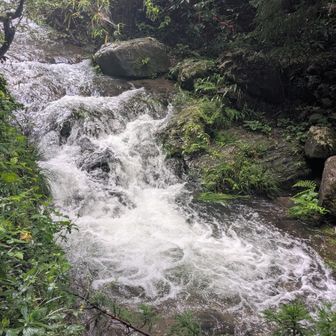 水量が多い