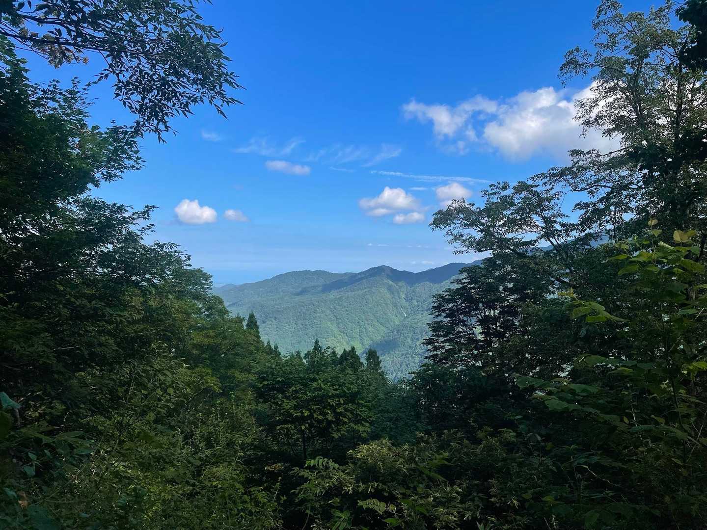 瀬戸蔵山 往復コースの写真