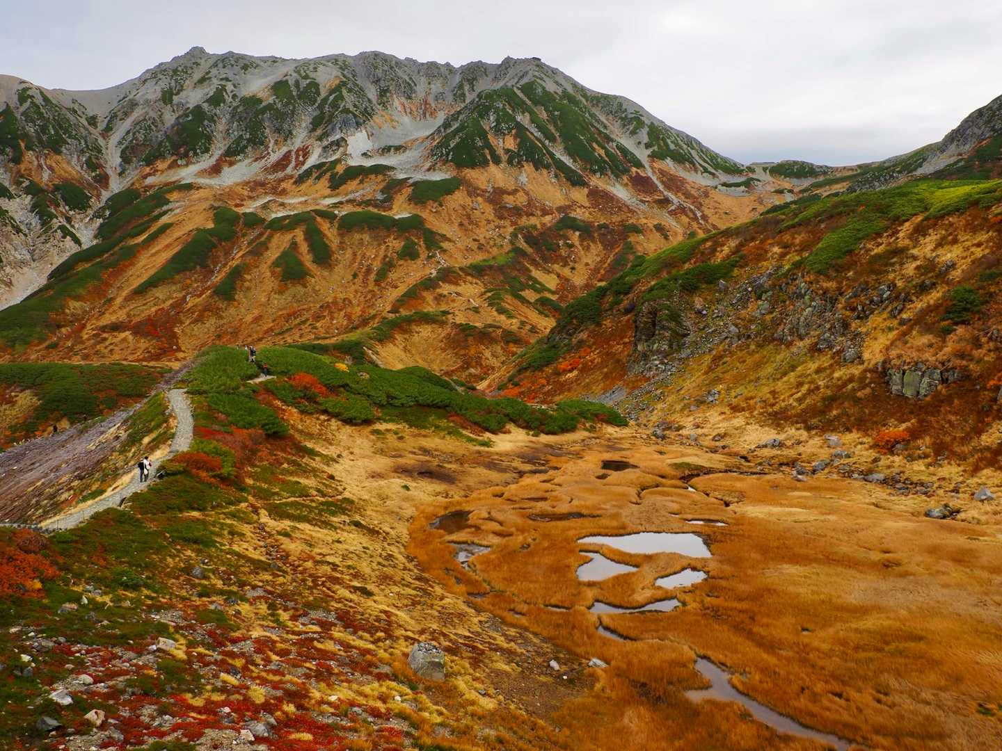 血の池がまた凄い紅葉で🍁