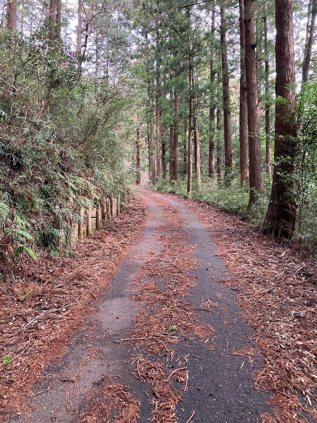 幕山登山口-幕山 周回コースの写真