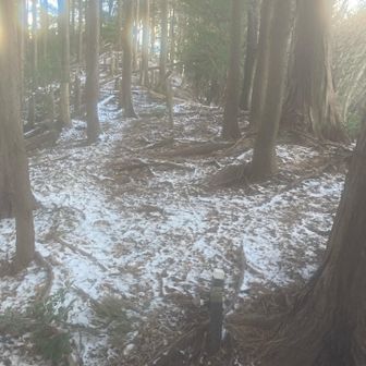 🈁を登れば(*´`)♡