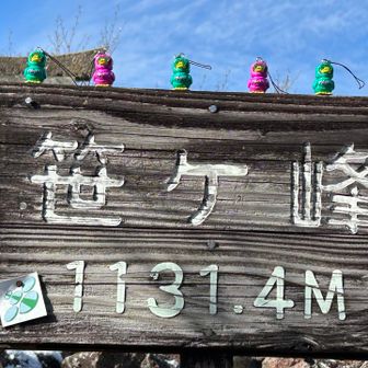 今日はガァーシー隊員達も勢揃い🐥