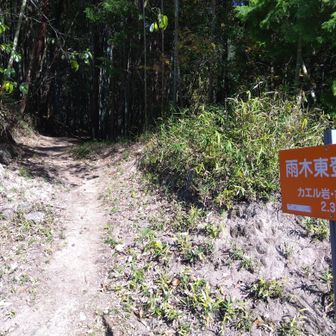 東登山口に下山🙋