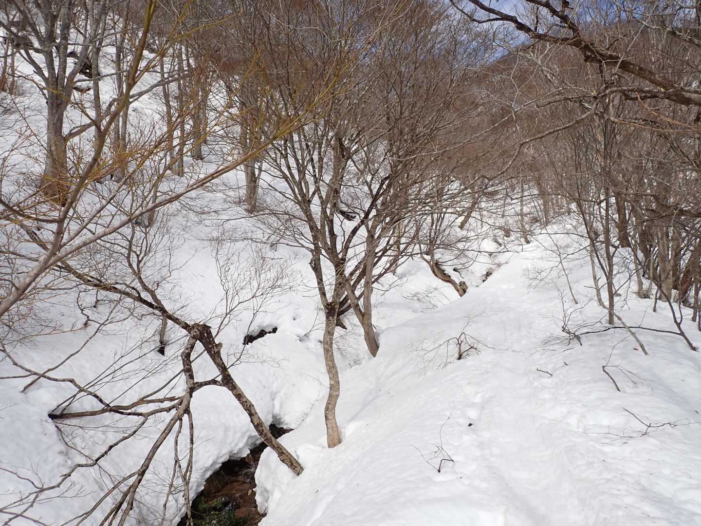 沢沿い歩き
やや細い所もありました