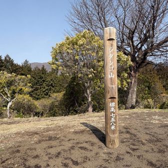 シダンゴ山（標高 758）  到着

インパクトある山名ですよね
