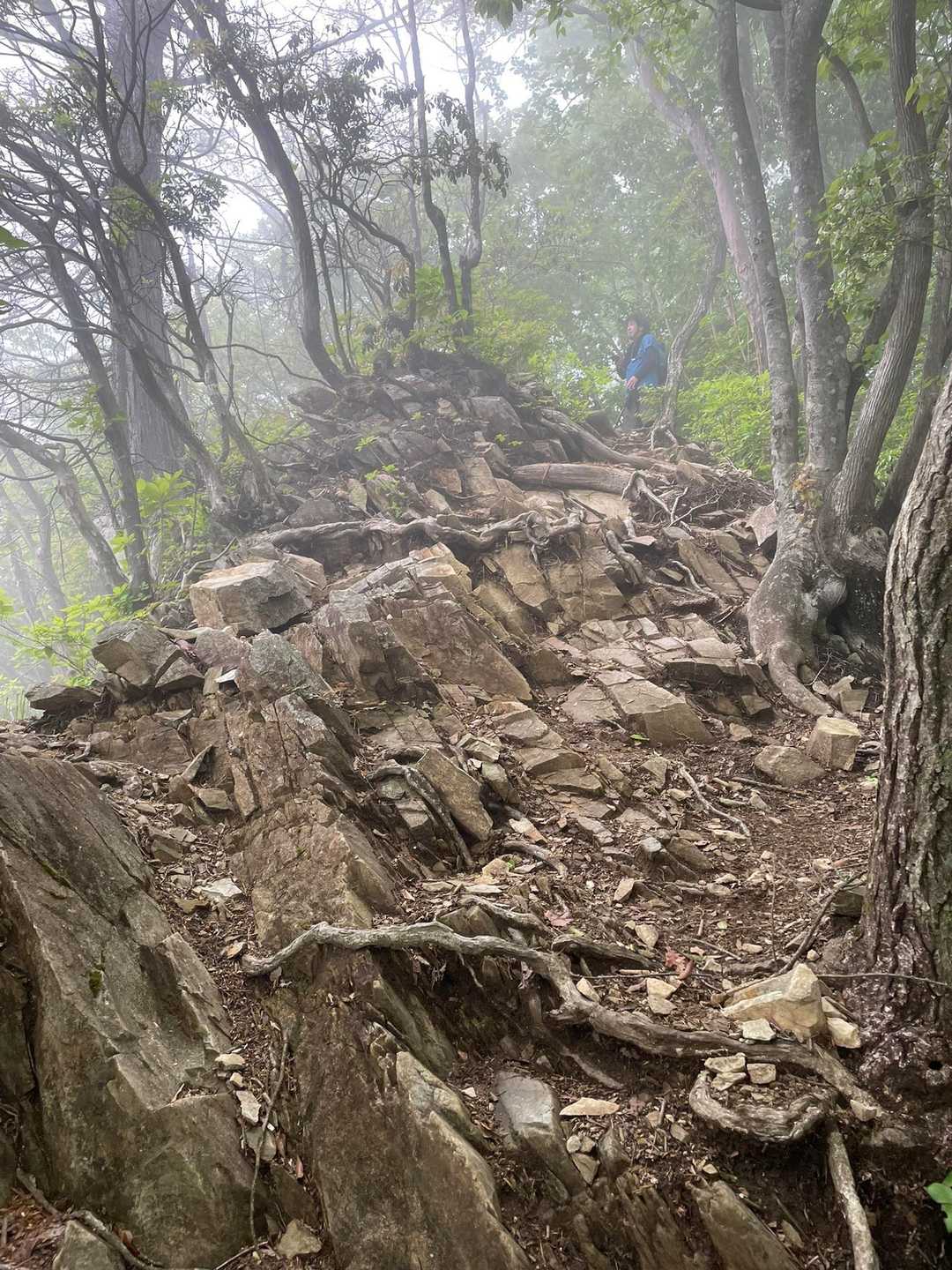 なかなか急な岩場を降りた辺りで雨が☔️
生藤山まで戻ろう〜