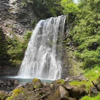 善五郎の滝
ミストを浴びているようで気持ちいい👍