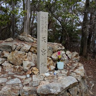 天宮塚
分岐からここまでの間に
変な鳴き声の鳥？がいて
ちょっと怖かった。
きっと鳥だと信じたい…