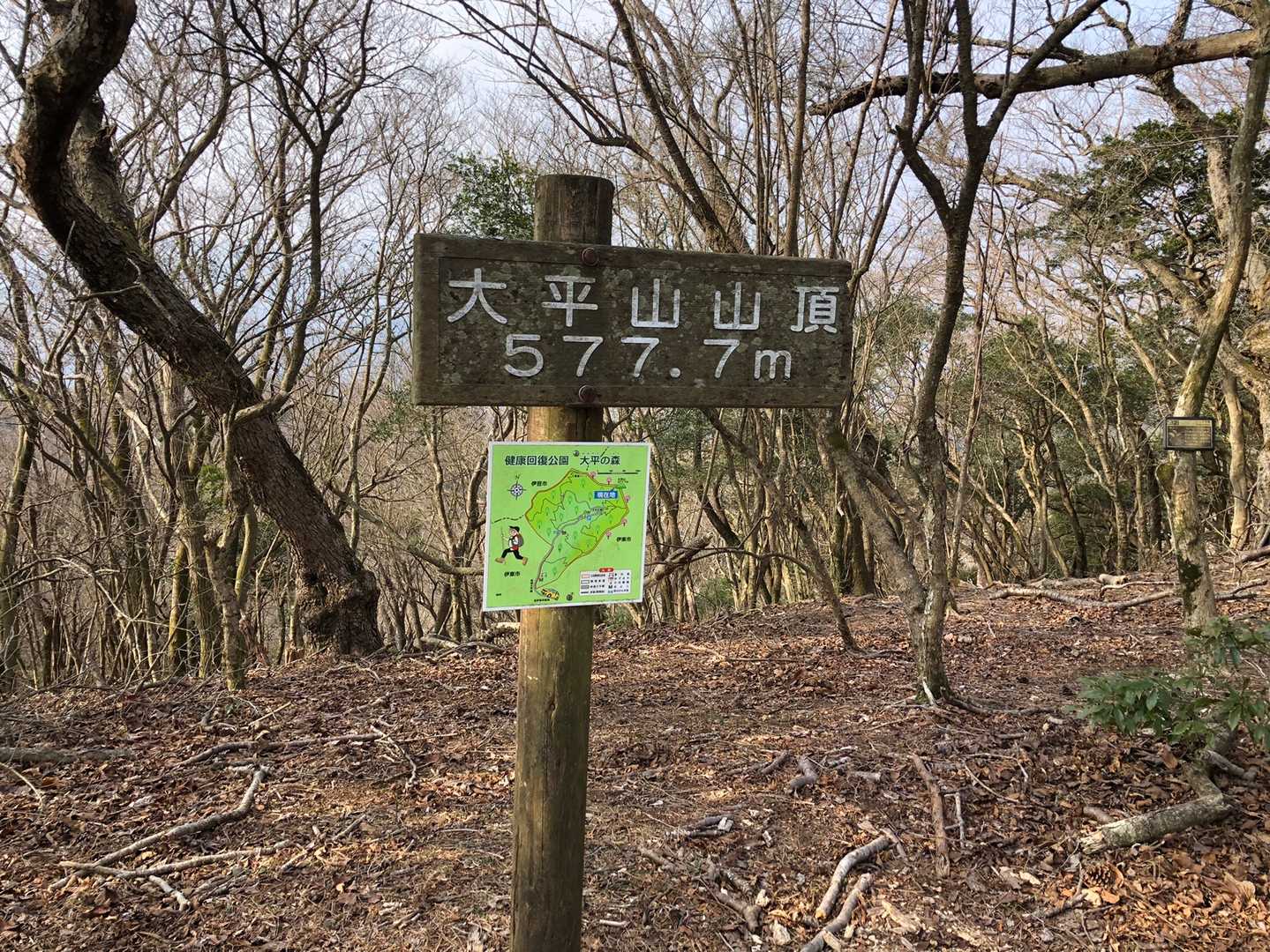 山頂。展望はありません。