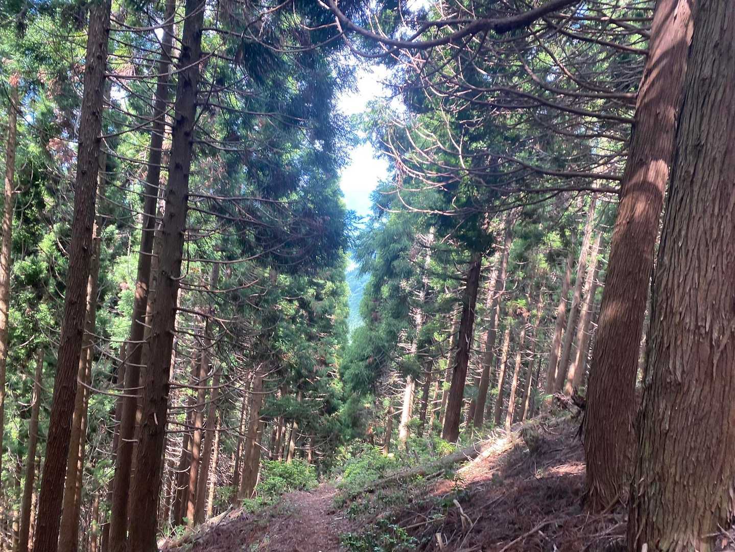 美しい😍