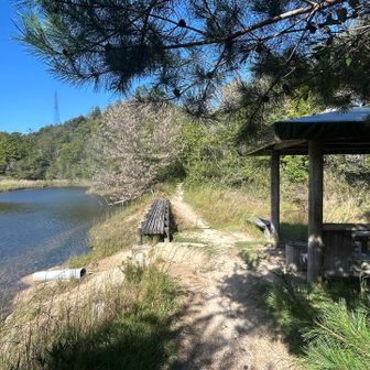 帰りにココで 休憩しよ〜♫