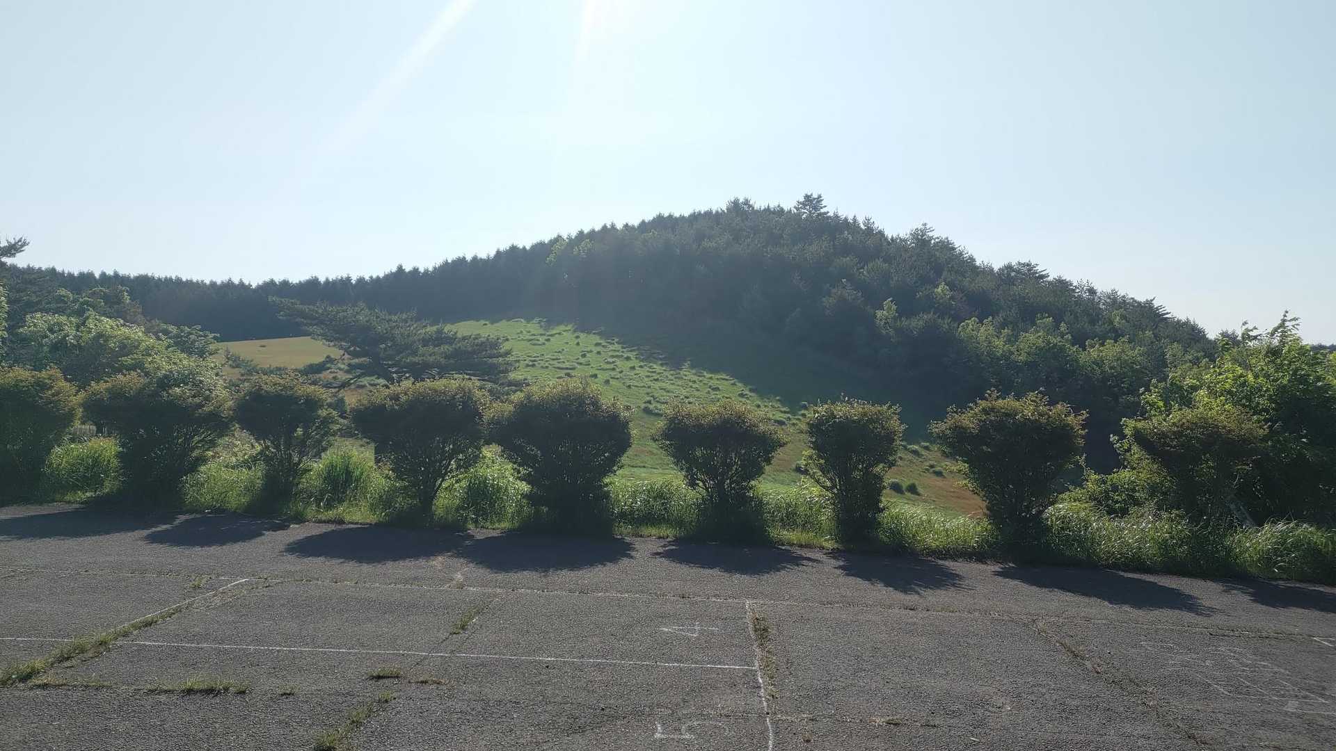 吉武台登山口より