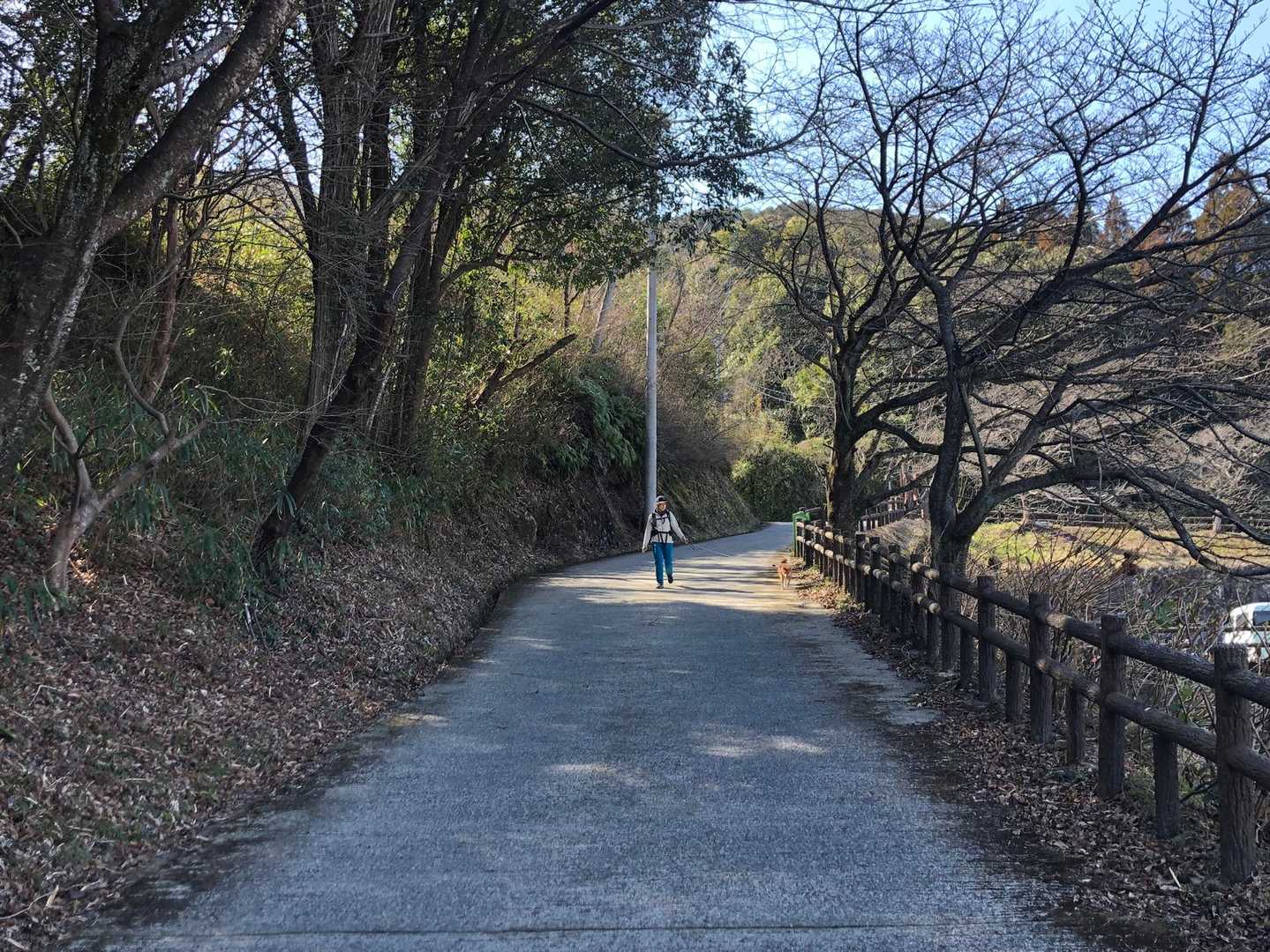 無事下山⛰