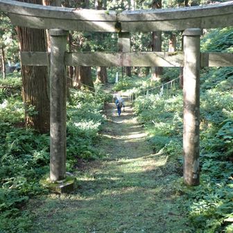 表参道から帰ります