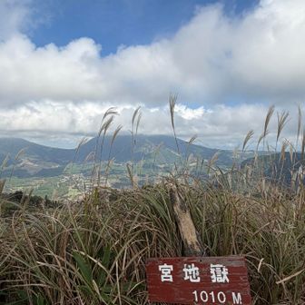藪漕ぎしながら💦宮地嶽到着！