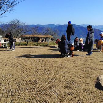 ワンちゃん達も楽しんでます🫠