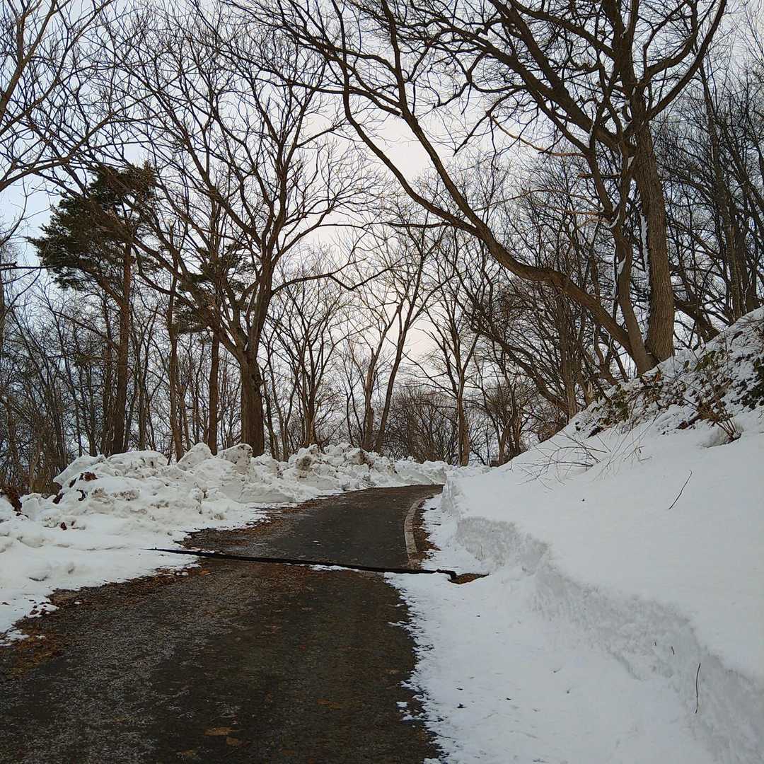 スタスタ歩いていってきました。