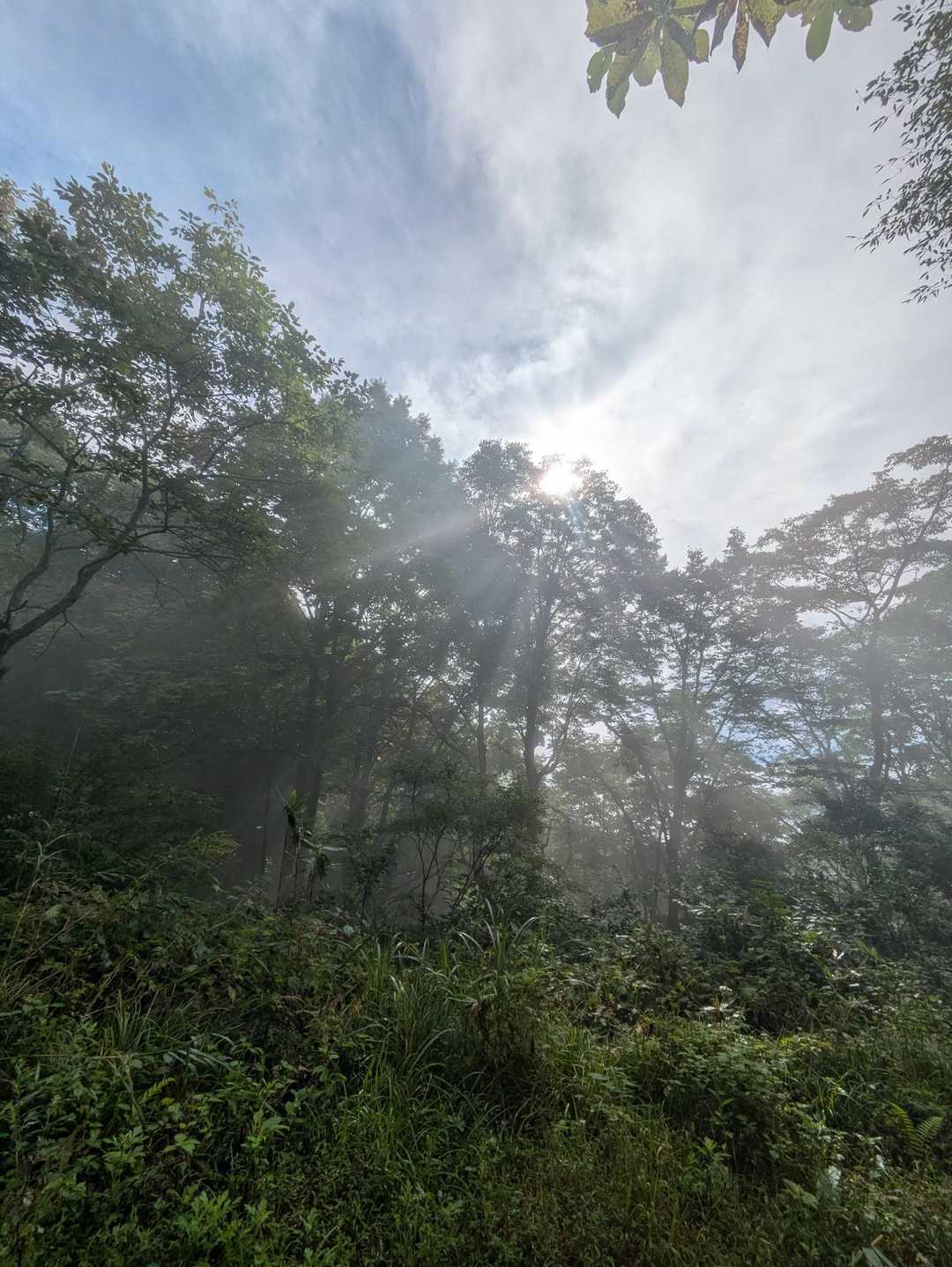 青空きたぁ～☀