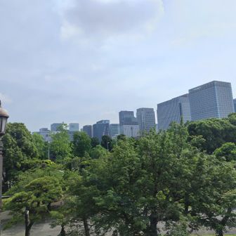 日比谷公園より。