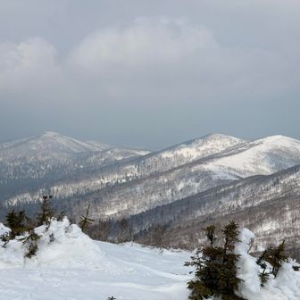 奥佐幌岳到着。山頂標識は見当たらなかった。
椎空知山、いつか行ってみたいなぁ。