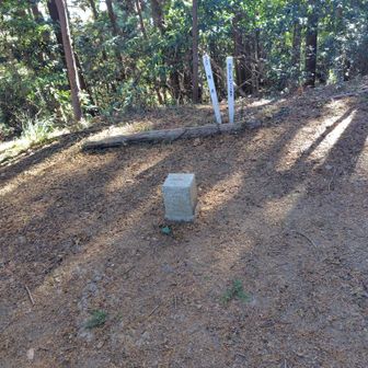 三角点
標高375mは標柱の地点ではなくココですね