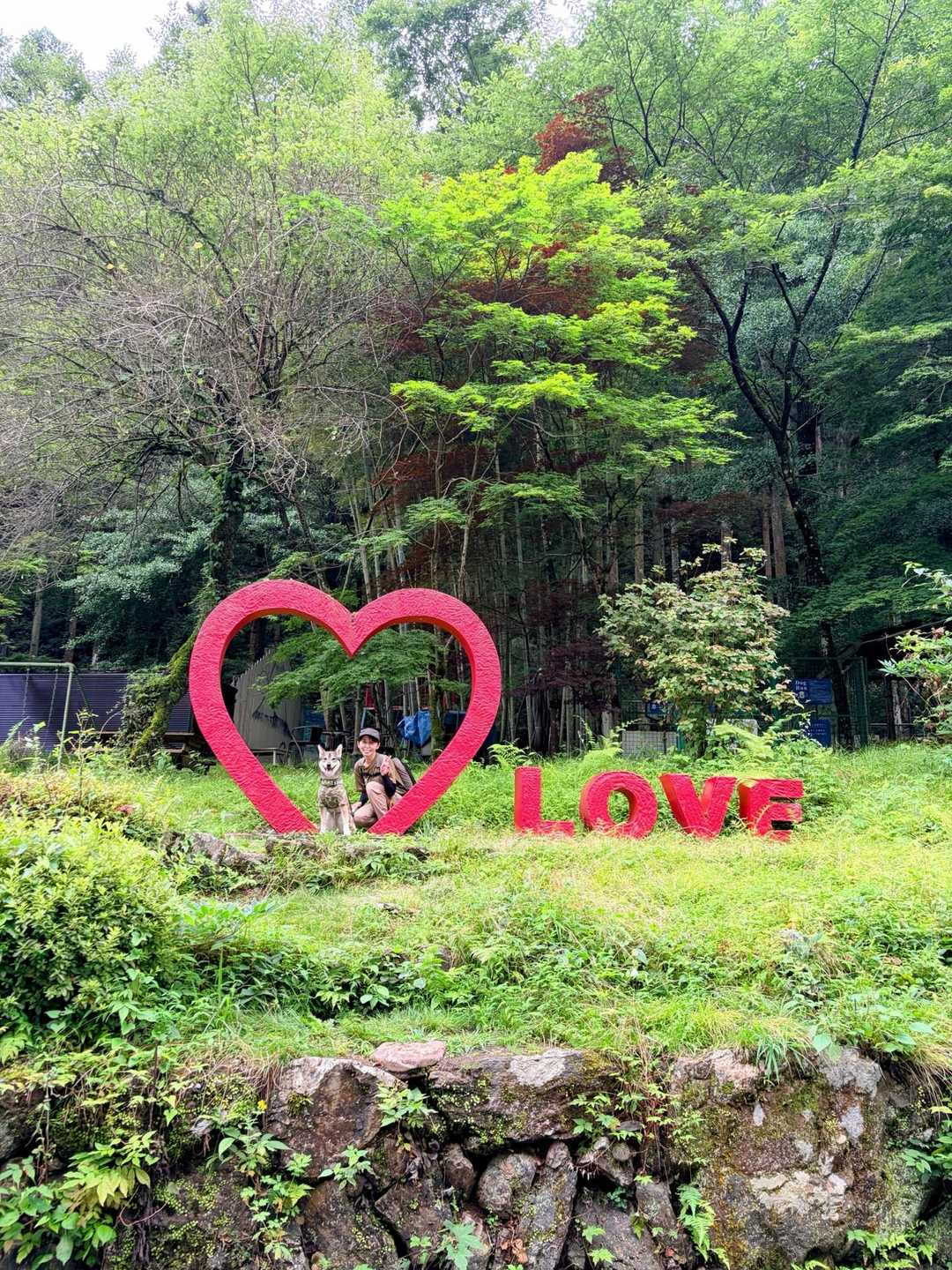 花立松ノ峠-関八州見晴台 往復コースの写真