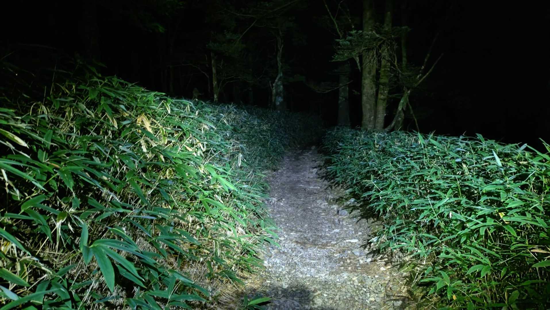 大台ヶ原バス停-大台ヶ原山-尾鷲辻 周回コースの写真