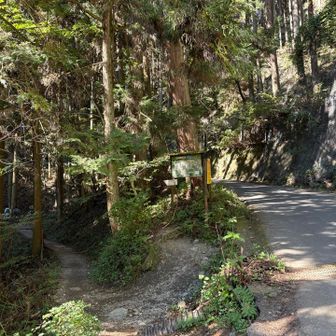 時間短縮なら画面左上に伸びる陣馬新道コース、体力温存なら陣馬街道をそのまま和田峠に向かって進む。
今回も陣馬新道コースから登った。