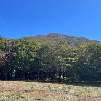 国観峠
登山口でお会いした地元の方が草刈りされていた。お疲れ様です。