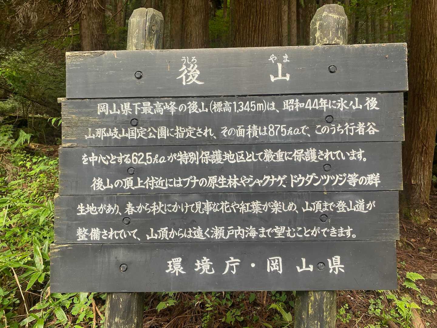 船木山登山口-船木山-後山 往復コースの写真