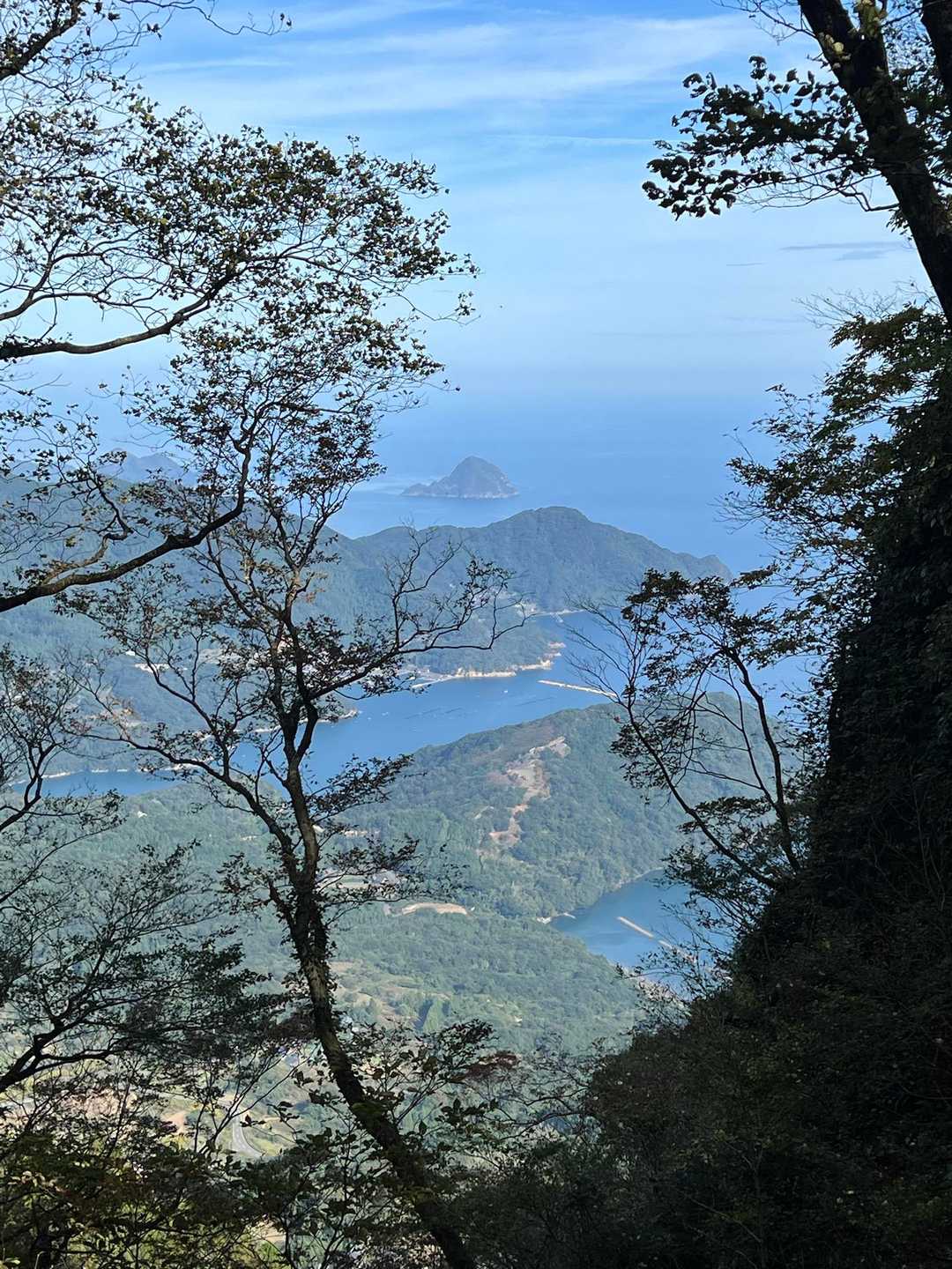 青葉山 往復コースの写真