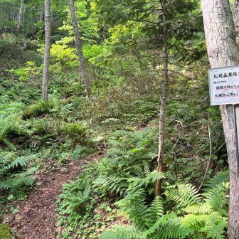 登山口
頂上まで2.2km