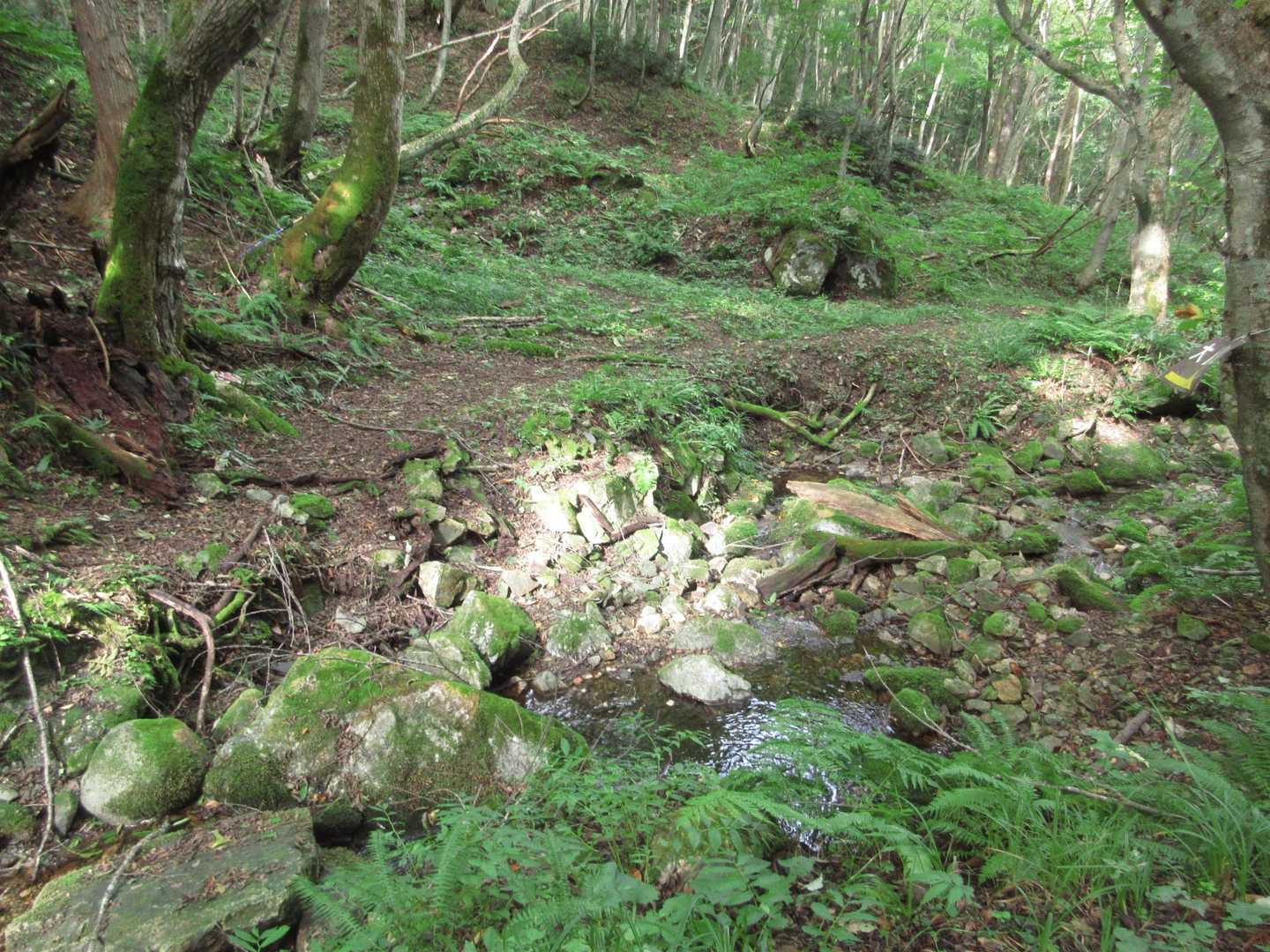 
分岐

左∶大嵐山
右∶湯ノ倉山

