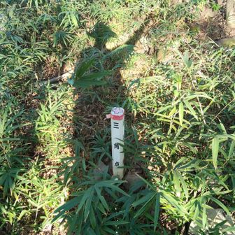 ■大原
等級 :　四等三角点
標高 :　241.37m
場所 :　香川県坂出市