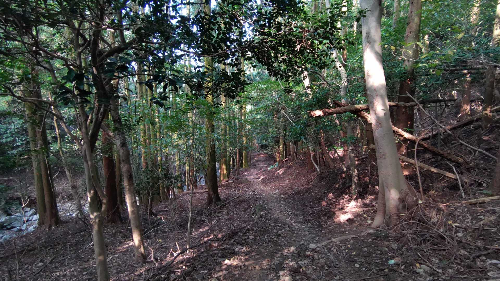 下山してたら晴れてきた～
もともと、下界は晴れだったなぁ～