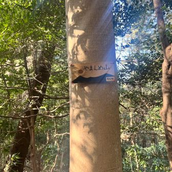 2座目

やまんめ山

なかなか
探した🌀