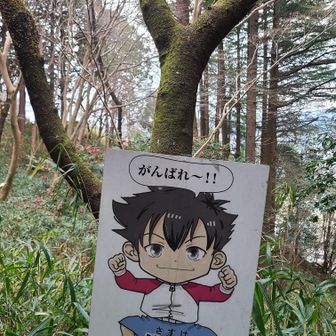 佐助くん、応援ありがとう😊