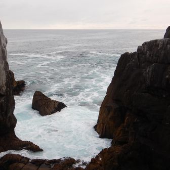 今日は引き潮なのかな