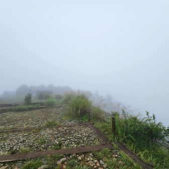 Too much fog today 😕