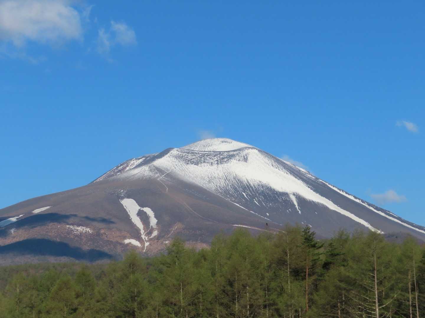 しばらく林道を歩き振り返ると