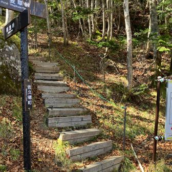 こちらが新道です。
YAMAPだと破線ルートになっていますが、
現在はこちらが主流ルートではないかと思います。
写っている階段があまりに急なため、観光客の方はびっくりして引き返してしまう方も。