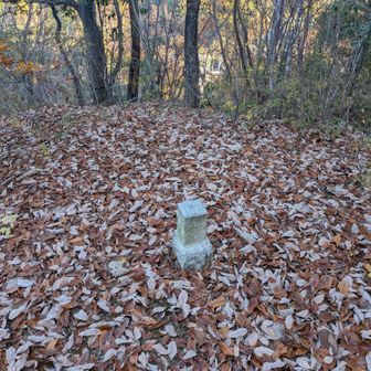 三角点があるので、ここが坊主山っぽい。