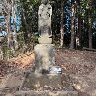 セブンサミッツ⑤中沢山